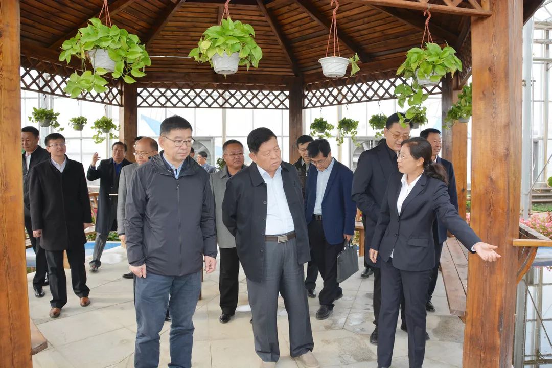 171419179rm8[1].jpg