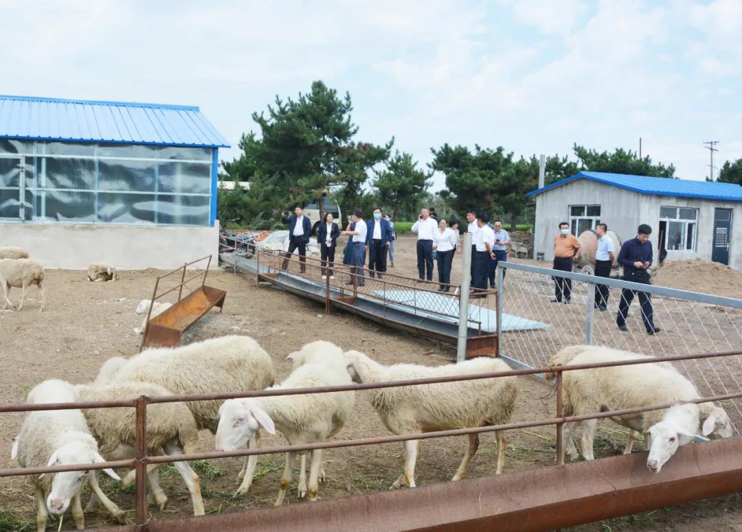 微信图片_20210910145658.jpg 微信图片_20210910145658.jpg