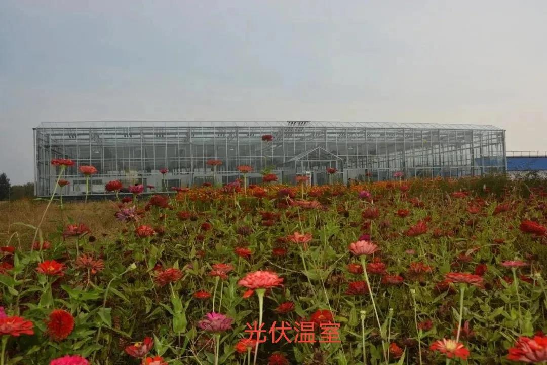 微信图片_20210913133349.jpg
