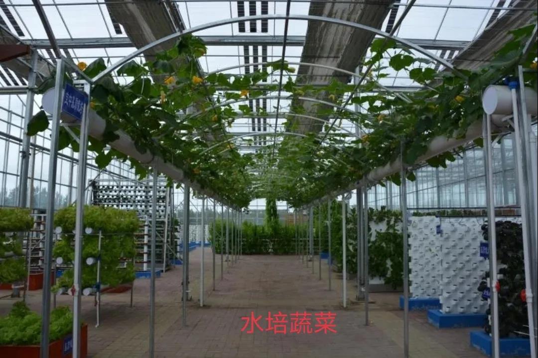 微信图片_20210913133355.jpg